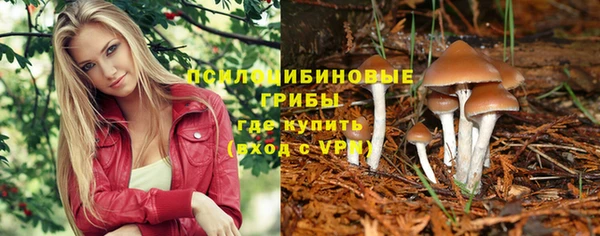 гидра Каменск-Шахтинский
