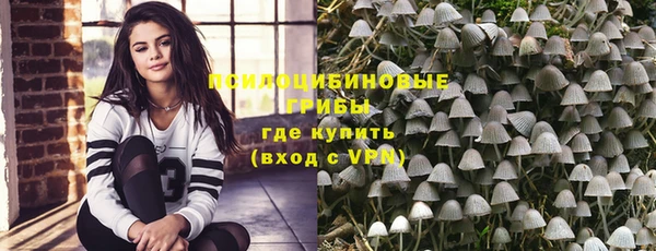гидра Каменск-Шахтинский
