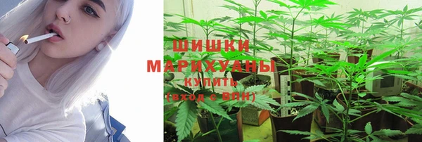 гидра Каменск-Шахтинский